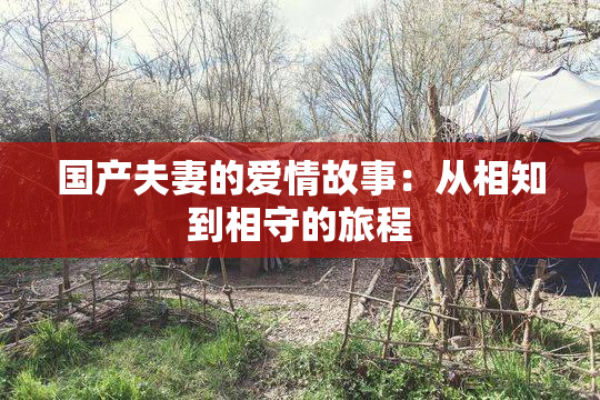 国产夫妻的爱情故事：从相知到相守的旅程