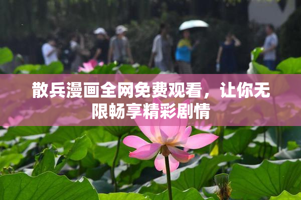 散兵漫画全网免费观看，让你无限畅享精彩剧情