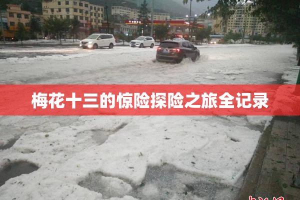 梅花十三的惊险探险之旅全记录