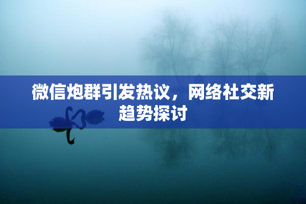 微信炮群引发热议，网络社交新趋势探讨