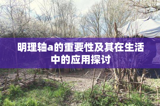 明理轴a的重要性及其在生活中的应用探讨