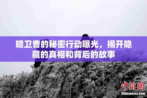 暗卫曹的秘密行动曝光，揭开隐藏的真相和背后的故事