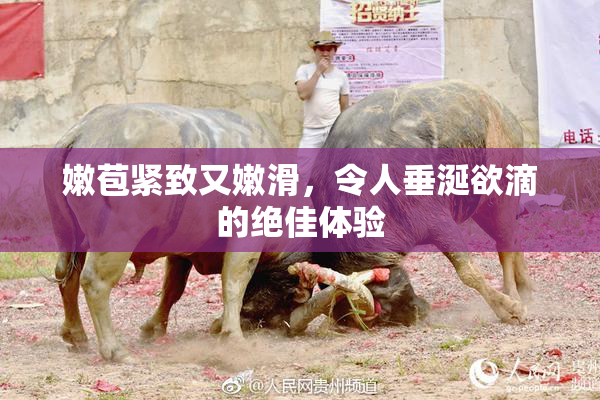 嫩苞紧致又嫩滑，令人垂涎欲滴的绝佳体验