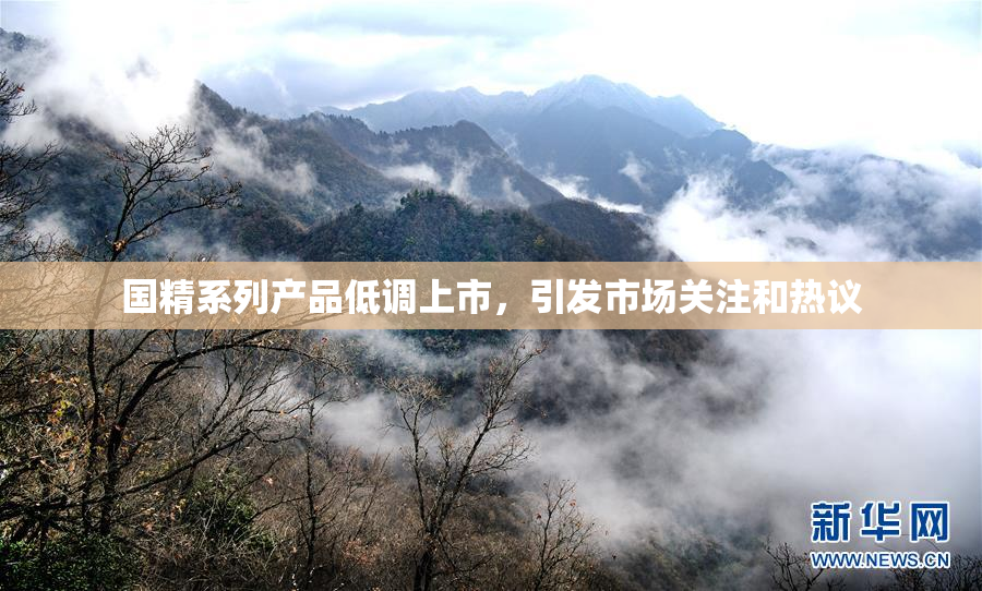 国精系列产品低调上市，引发市场关注和热议