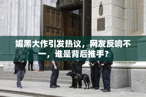 媚黑大作引发热议，网友反响不一，谁是背后推手？