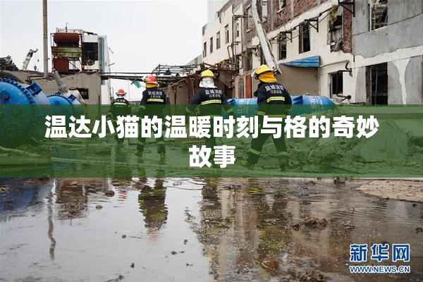 温达小猫的温暖时刻与格的奇妙故事