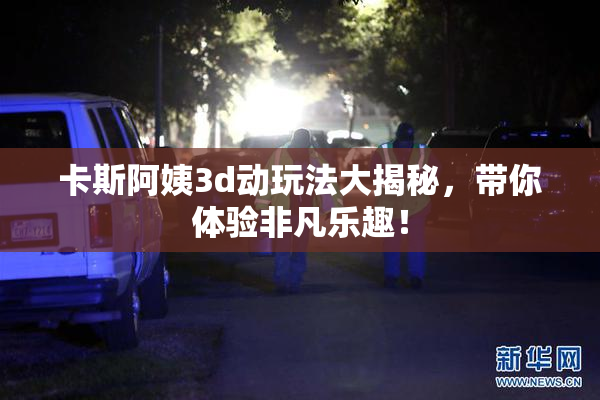 卡斯阿姨3d动玩法大揭秘，带你体验非凡乐趣！