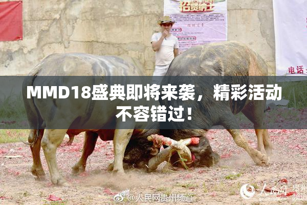 MMD18盛典即将来袭，精彩活动不容错过！