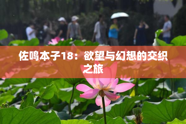 佐鸣本子18：欲望与幻想的交织之旅