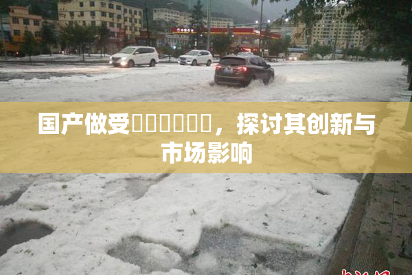 国产做受❌‌❌‌❌‌，探讨其创新与市场影响
