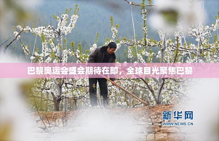 巴黎奥运会盛会期待在即，全球目光聚焦巴黎