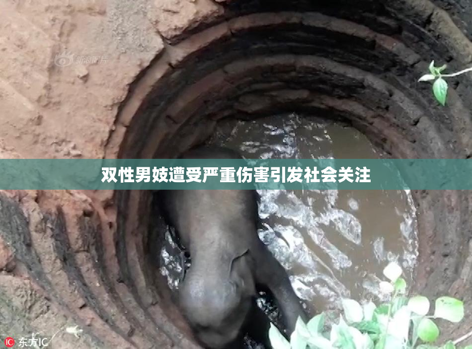 双性男妓遭受严重伤害引发社会关注