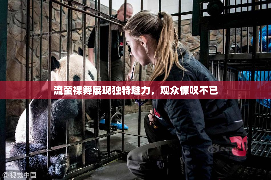 流萤裸舞展现独特魅力，观众惊叹不已