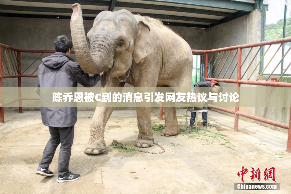 陈乔恩被C到的消息引发网友热议与讨论