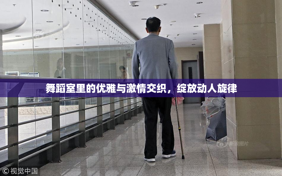 舞蹈室里的优雅与激情交织，绽放动人旋律