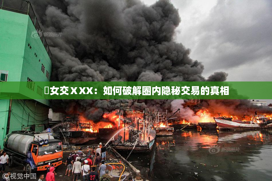 乣女交ⅩXX：如何破解圈内隐秘交易的真相