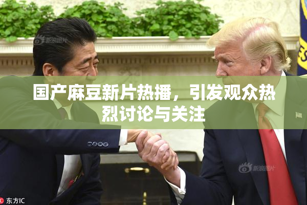 国产麻豆新片热播，引发观众热烈讨论与关注