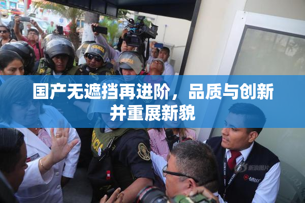 国产无遮挡再进阶，品质与创新并重展新貌