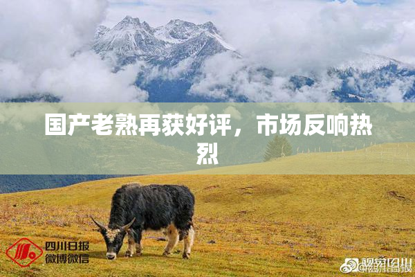国产老熟再获好评，市场反响热烈