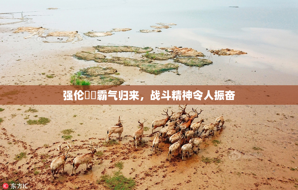 强伦妺妺霸气归来，战斗精神令人振奋