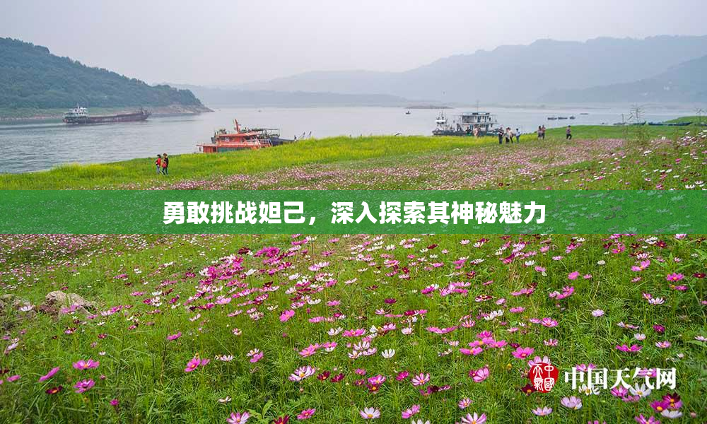勇敢挑战妲己，深入探索其神秘魅力