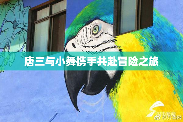 唐三与小舞携手共赴冒险之旅