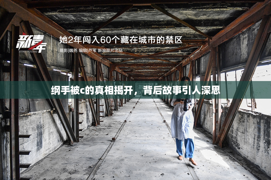 纲手被c的真相揭开，背后故事引人深思