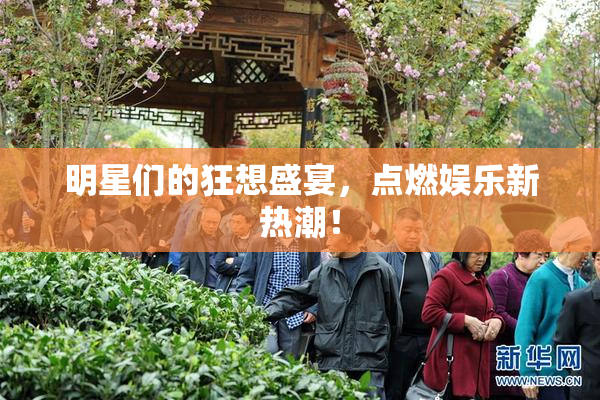 明星们的狂想盛宴，点燃娱乐新热潮！