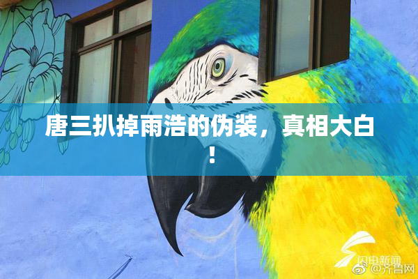 唐三扒掉雨浩的伪装，真相大白！