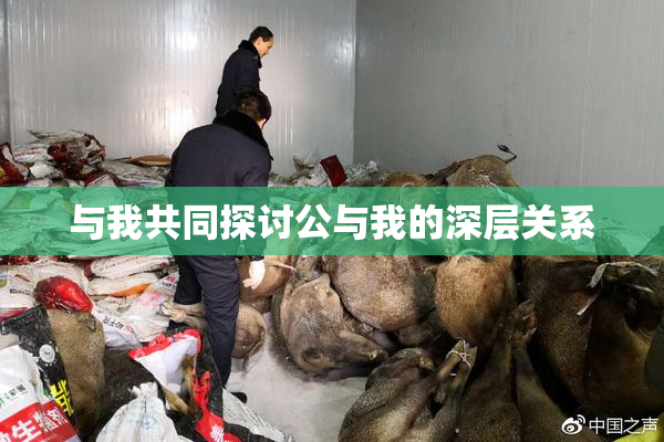 与我共同探讨公与我的深层关系