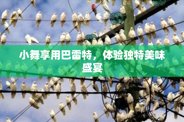 小舞享用巴雷特，体验独特美味盛宴