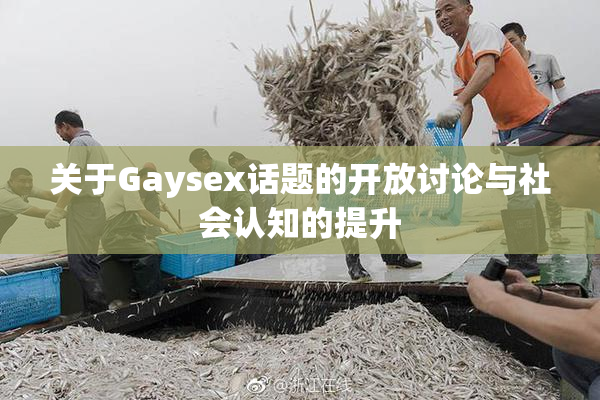 关于Gaysex话题的开放讨论与社会认知的提升