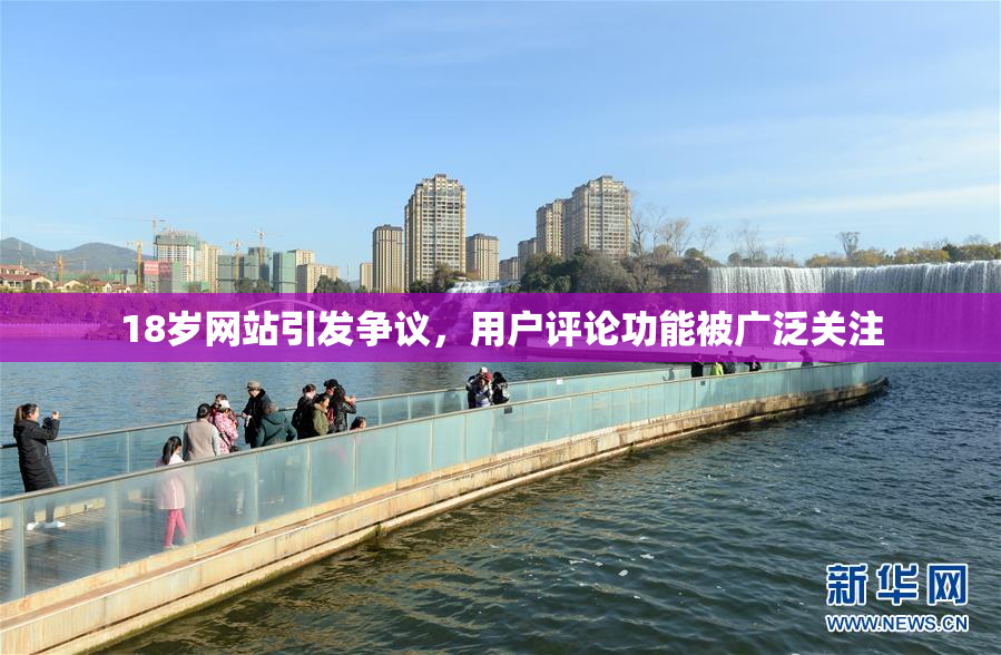 18岁网站引发争议，用户评论功能被广泛关注