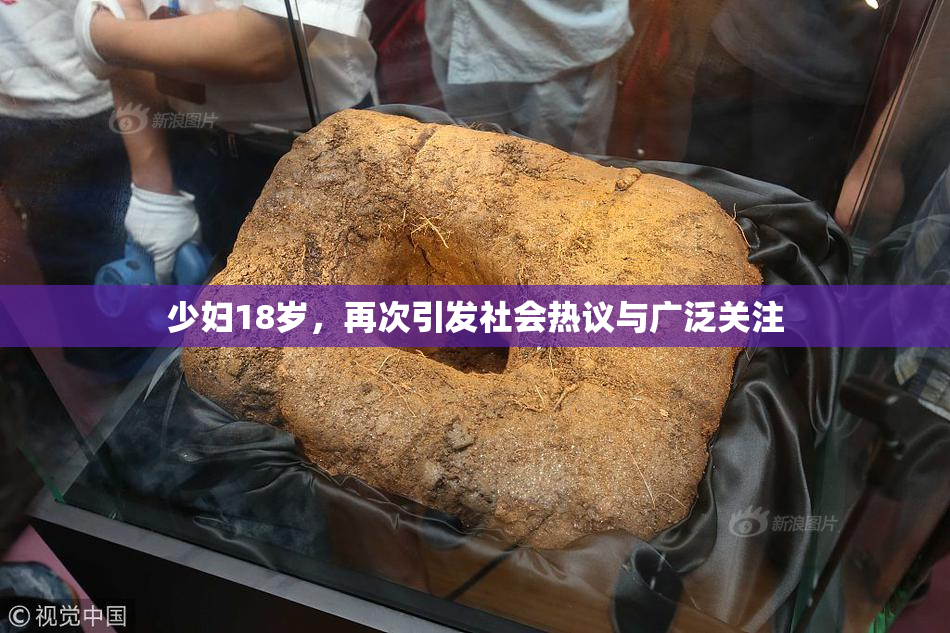 少妇18岁，再次引发社会热议与广泛关注