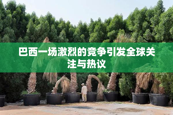 巴西一场激烈的竞争引发全球关注与热议