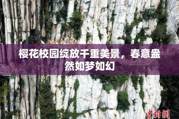 樱花校园绽放千重美景，春意盎然如梦如幻