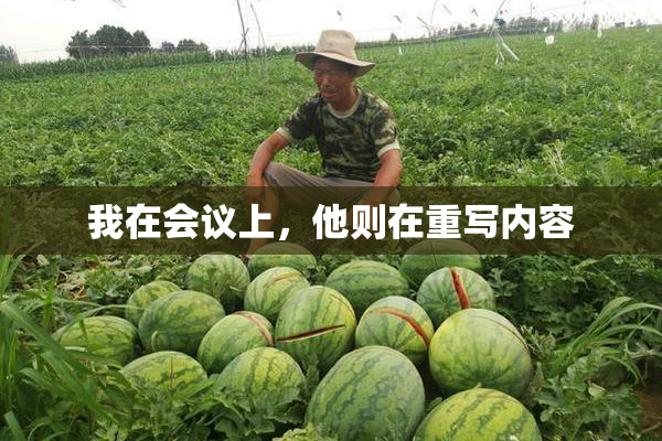 我在会议上，他则在重写内容