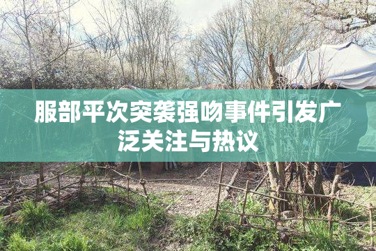 服部平次突袭强吻事件引发广泛关注与热议