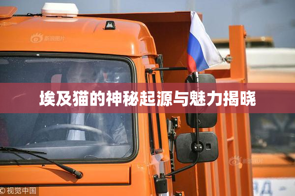 埃及猫的神秘起源与魅力揭晓