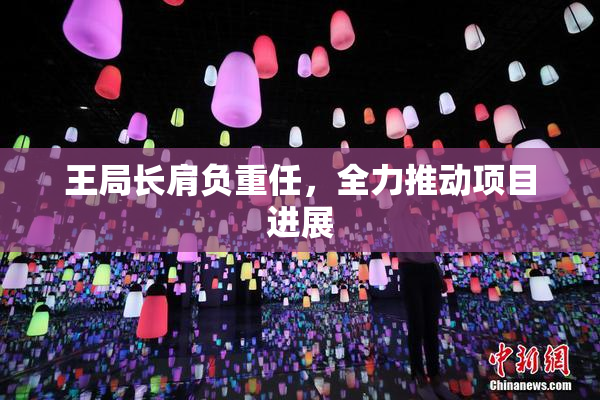 王局长肩负重任，全力推动项目进展