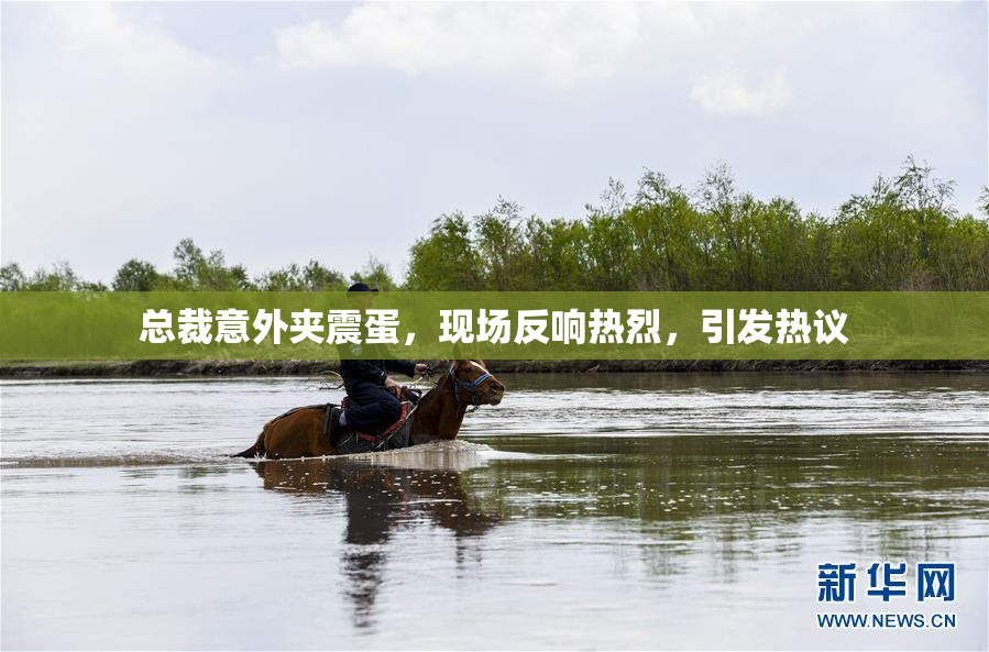 总裁意外夹震蛋，现场反响热烈，引发热议