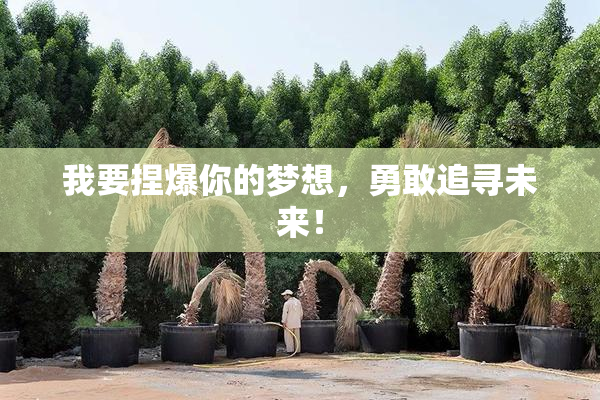 我要捏爆你的梦想，勇敢追寻未来！