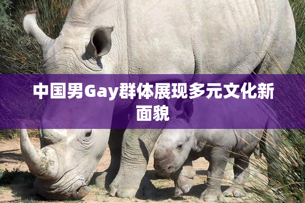 中国男Gay群体展现多元文化新面貌