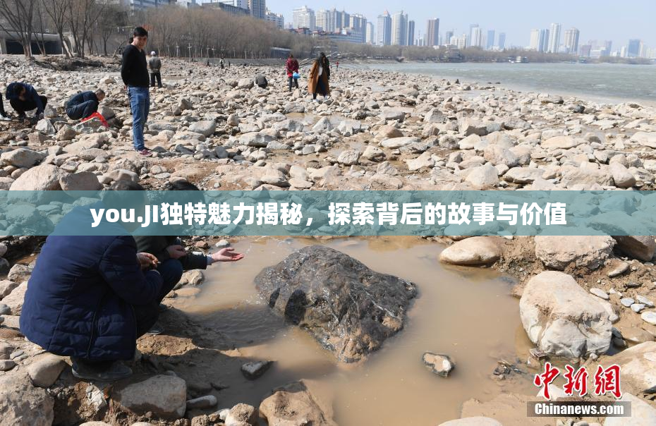 you.JI独特魅力揭秘，探索背后的故事与价值