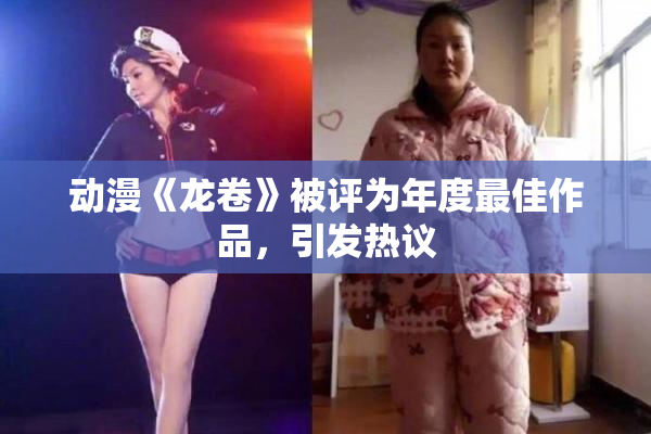 动漫《龙卷》被评为年度最佳作品，引发热议
