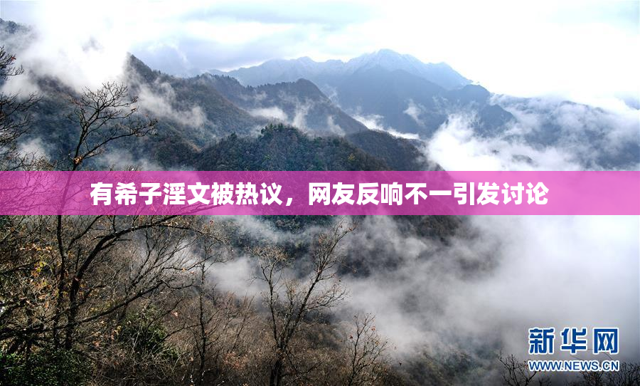 有希子淫文被热议，网友反响不一引发讨论