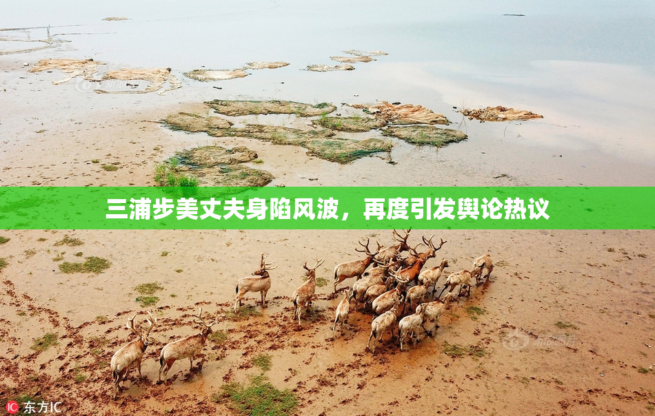 三浦步美丈夫身陷风波，再度引发舆论热议