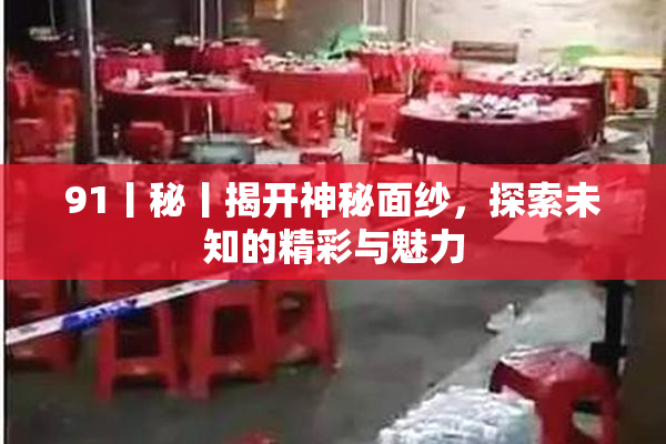 91丨秘丨揭开神秘面纱，探索未知的精彩与魅力