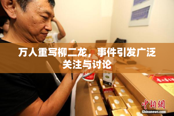 万人重写柳二龙，事件引发广泛关注与讨论