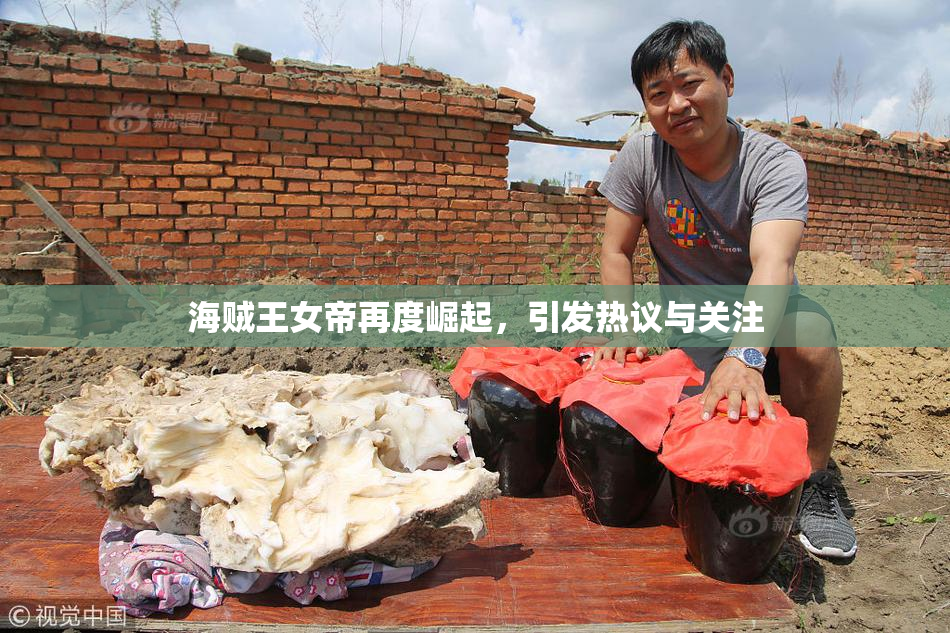 海贼王女帝再度崛起，引发热议与关注